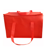 Cooler Bag / Zippered Insulated Tote